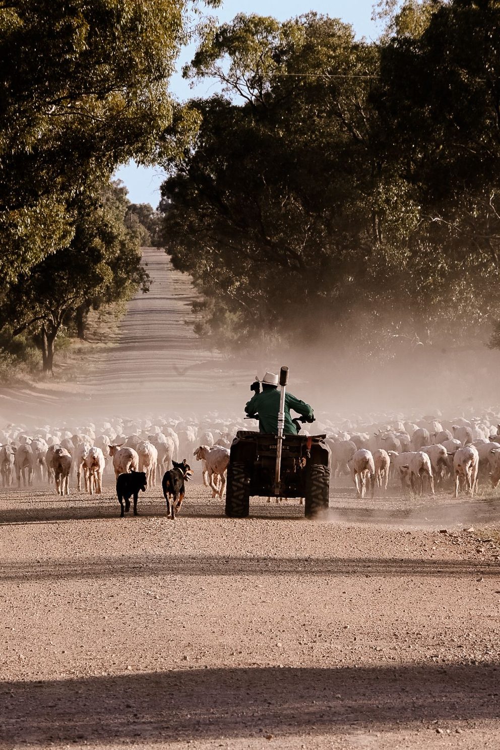 A regional Australian farming community
