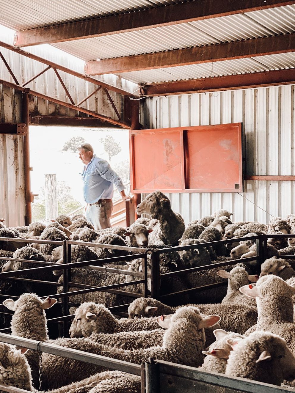 Livestock monitoring in the field
