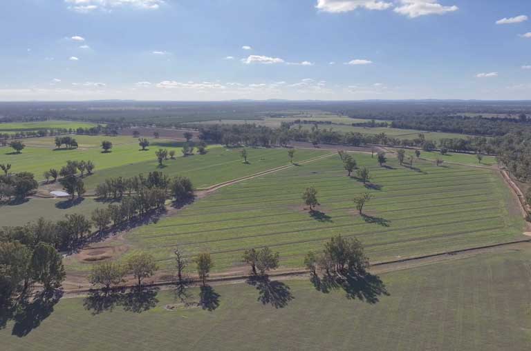 Irrigated forage country across Ferguson Hyams properties
